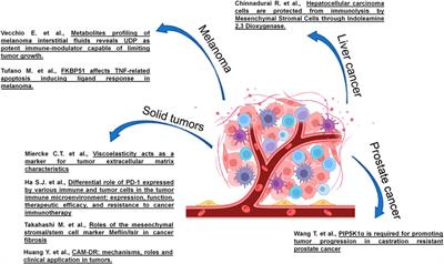 Editorial: Tumor Microenvironment and Cancer Cell Interactions in Solid Tumor Growth and Therapy Resistance